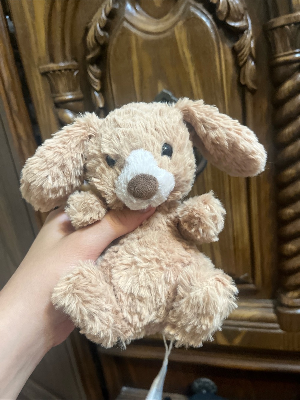 Jellycat Yummy puppy